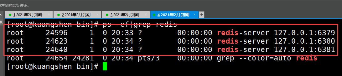 image-20210306113624716