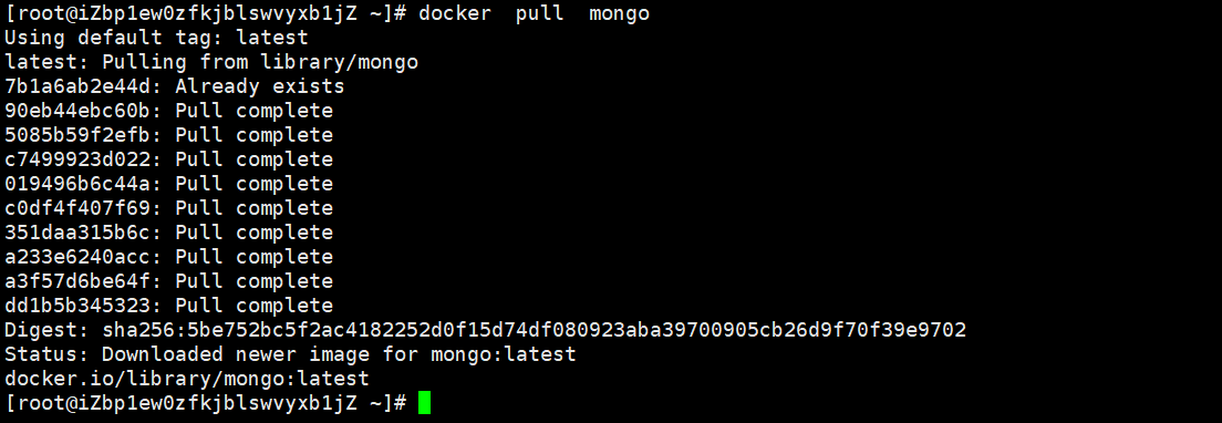 image-20211227163343646